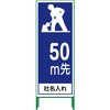 70362609