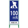 70362618