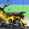 70390375