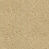 WDR1426 �E�b�h���C��NW R�T�C�Y �^�W�}(�c�����[�t�B���O) 70405898