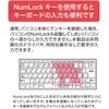 TNK-SU232BK シンプルUSBテンキーボード/ブラック ナカバヤシ 70411909