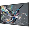 43BDL3511Q/11 液晶ディスプレイ(サイネージ) 43型/Android無し Philips 70439051