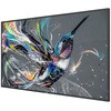 55BDL3511Q/11 液晶ディスプレイ(サイネージ) 55型/Android無し Philips 70439069