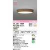 OL251749R tbgv[g LEDV[OCg300 ODELIC(I[fbN) 70461975