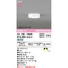 OL251780R tbgv[g LEDV[OCg 120 ODELIC(I[fbN) 70462447