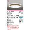 OL251674BCR LEDV[OCg ODELIC(I[fbN) 70463558