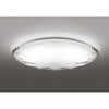 OL291348R LEDシーリングライト ODELIC(オーデリック) 70463734