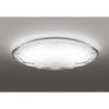 OL291349R LEDシーリングライト ODELIC(オーデリック) 70463743