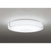 OL251460R LEDシーリングライト ODELIC(オーデリック) 70464809