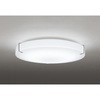 OL251500R LEDシーリングライト ODELIC(オーデリック) 70464827