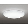 OL251197R LEDV[OCg ODELIC(I[fbN) 70465186