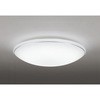 OL251198R LEDV[OCg ODELIC(I[fbN) 70465195