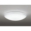 OL251198BCR LEDV[OCg ODELIC(I[fbN) 70465247