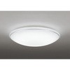 OL251617BCR LEDV[OCg ODELIC(I[fbN) 70465256