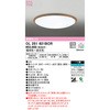 OL251621BCR LEDV[OCg ODELIC(I[fbN) 70466193