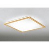 OL251399BCR LEDV[OCg ODELIC(I[fbN) 70466979
