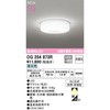 OG254873R oX[Cg ODELIC(I[fbN) 70471154