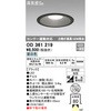 OD361219 lZT[A^ GNXeA_ECg ODELIC(I[fbN) 70473349