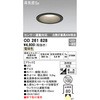 OD261828 lZT[A^ GNXeA_ECg ODELIC(I[fbN) 70473455