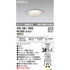 OD261993 lZT[A^ GNXeA_ECg ODELIC(I[fbN) 70473516