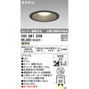 OD361226 lZT[A^ GNXeA_ECg ODELIC(I[fbN) 70473595