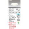 OD361279BC LED_ECg EF ODELIC(I[fbN) 70478924