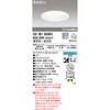 OD361283BC LED_ECg EF ODELIC(I[fbN) 70478949