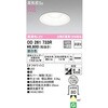 OD261733R LED_ECg ODELIC(I[fbN) 70506739