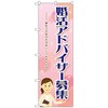 のぼり旗 婚活アドバイザー募集 No．GNB-2525 W600×H1800 トレード