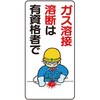 70555616