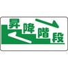 70555914