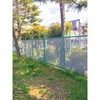 1.8mx5.4m O[ hV[g bV^Cv m^E 70578052