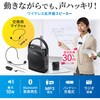 MM-SPAMP12 拡声器スピーカー サンワサプライ 70598073