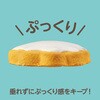 24358 ねんどでつくる アイシングクッキーチャーム アーテック[学校教材・教育玩具] 70754629