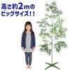 58636 七夕特大笹 100人用 装飾セット アーテック[学校教材・教育玩具] 70755627