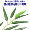 58636 七夕特大笹 100人用 装飾セット アーテック[学校教材・教育玩具] 70755627
