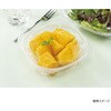 PBPP130 サラダ容器 バイオ ハクリア 13-42B リスパック リスパック 70773179