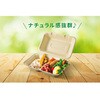 - サンドイッチ容器 新BBランチ 180-130 パックスタイル PackStyle(パックスタイル) 70780240