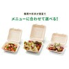 - サンドイッチ容器 新BBランチ 180-130 パックスタイル PackStyle(パックスタイル) 70780240