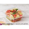 PABR527 バイオ ツブ13 OCA リスパック 70805616