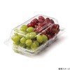 PBTT486 フルーツ容器 バイオ とれたて 20-13(75) リスパック リスパック 70806341