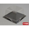 PABK616 フルーツ容器 バイオカップ キューブ 15-75B ゲイト 穴4H リスパック リスパック 70806788