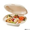 54849 弁当容器 NUCO ナチュラル 肉球型パッケージ ケーピープラテック ケーピープラテック 70819370