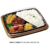 RHHS488 バイオ マウント 24-19 OCA リスパック 70821068