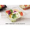 PBPR158 惣菜容器 バイオカップ ツブ17-30B リスパック リスパック 70837159