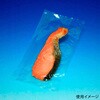 SB2550 真空袋 SBN規格袋 SB2550 中本アドバンストフィルム 中本アドバンストフィルム 70861239