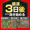 - 草退治ストロング粒剤 KINCHO園芸(旧:住友化学園芸) 70919068
