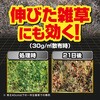 - 草退治ストロング粒剤 KINCHO園芸(旧:住友化学園芸) 70919077