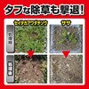 - 草退治ストロングシャワー KINCHO園芸(旧:住友化学園芸) 70919111