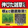 - 草退治ストロングシャワー KINCHO園芸(旧:住友化学園芸) 70919138